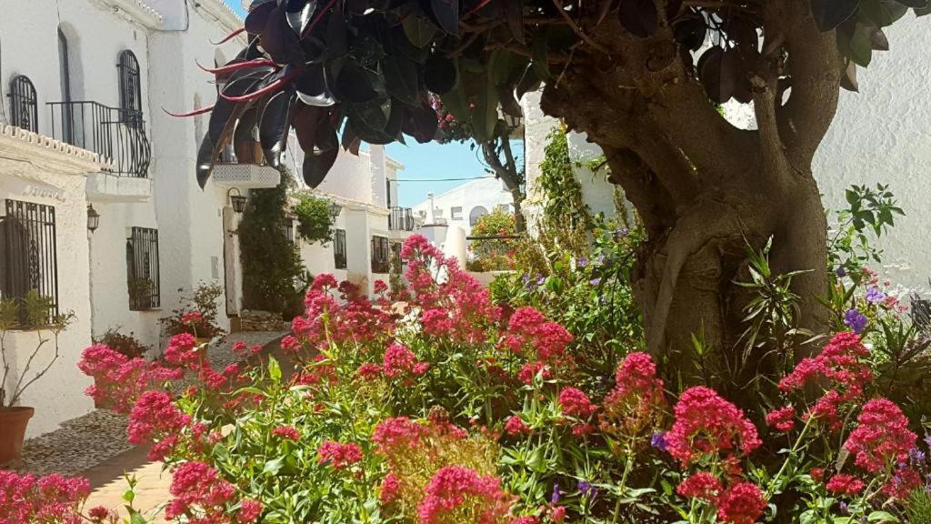 Apartamento Capistrano Village Nerja Exteriör bild